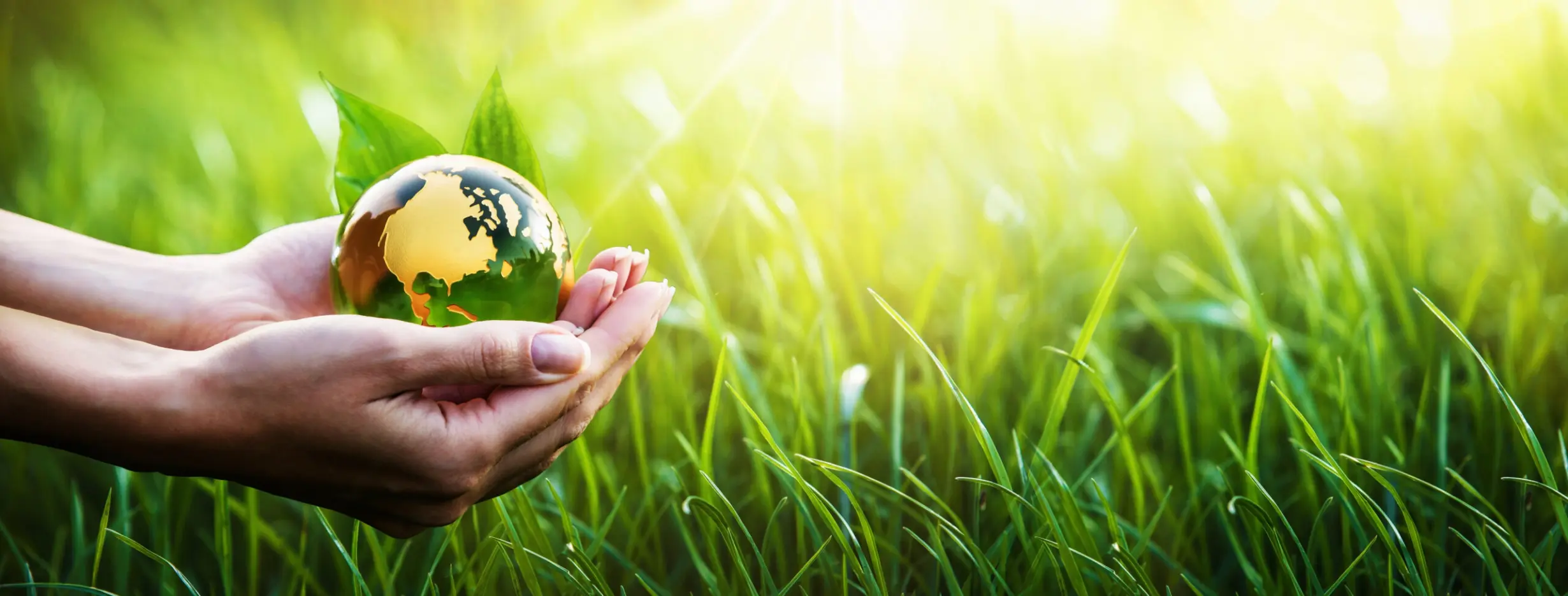 Image for Sustainable Living Spaces
